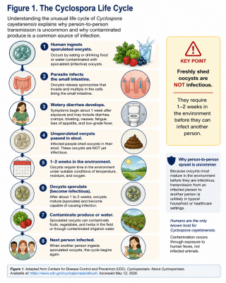 A pictograph of the life cycle of cyclosporiasis